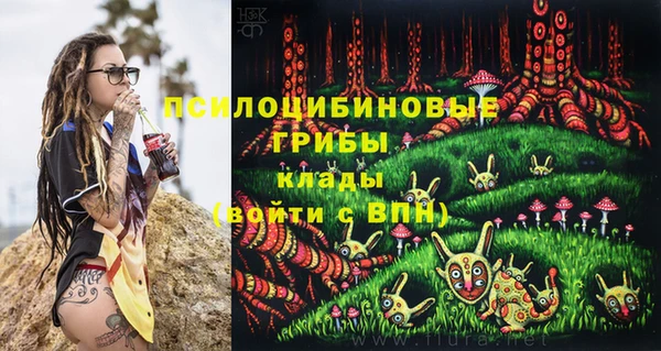 ГАЛЛЮЦИНОГЕННЫЕ ГРИБЫ Абинск