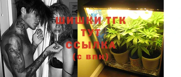 стаф Абдулино