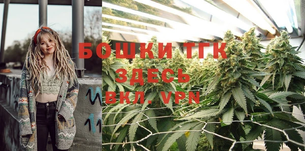 стаф Абдулино